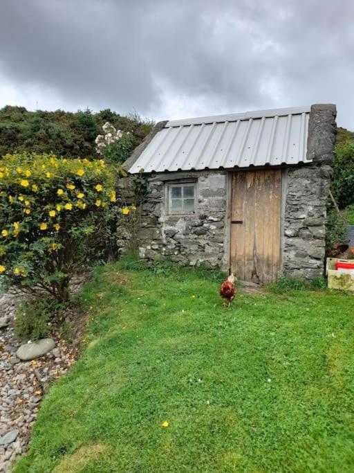 4 Bedroom Traditional Irish Farm House Killybegs Donegal Town Eksteriør bilde
